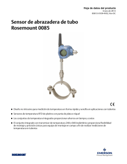 Espa&ntilde;ol (Spanish)