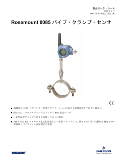 日本語 (Japanese)