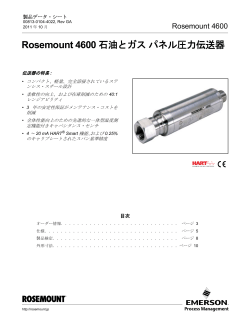 日本語 (Japanese)