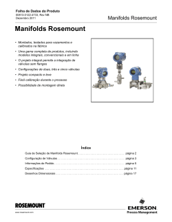 Portugu&ecirc;s (Portuguese-Brazil)