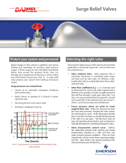 Surge Relief Valves
