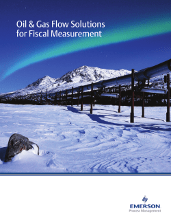 Brochure - Oil and Gas Flow Solutions for Fiscal Measurement