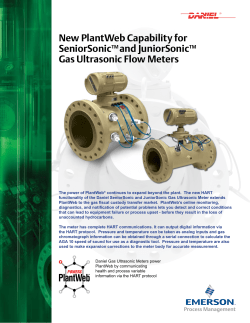 Daniel Ultrasonic Flow Meters - SeniorSonic and JuniorSonic PlantWeb Capability Flyer
