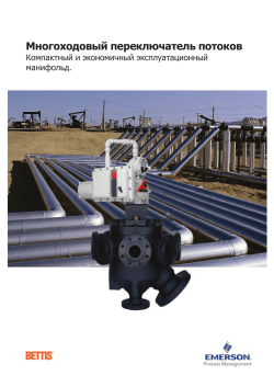 BETTIS Multiport Flow Selector - Russian