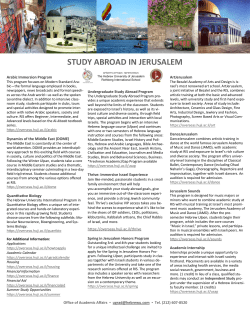 pdf flyer with more information