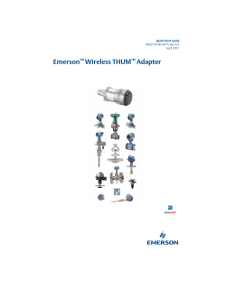 Emerson Smart Wireless THUM Adapter
