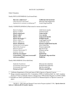 CA-2004-029ATT1