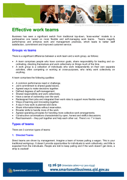 Effective Team Work (PDF &ndash; 125kb)