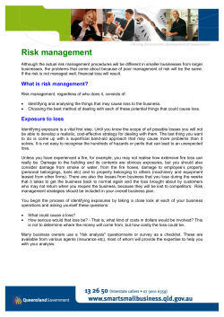 Risk Management (PDF &ndash; 128kb)