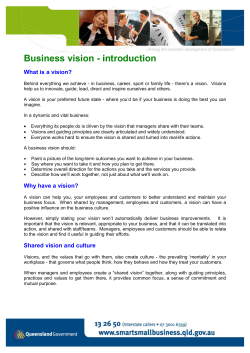 Business Vision &ndash; Introduction (PDF &ndash; 123kb)
