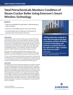 Total Petrochemicals