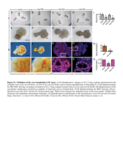 Supplementary Material