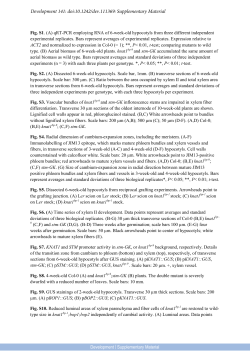 Supplementary Material