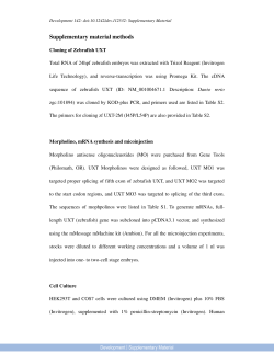 Supplementary Material