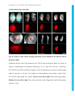 Supplementary information