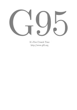 G95Manual.pdf
