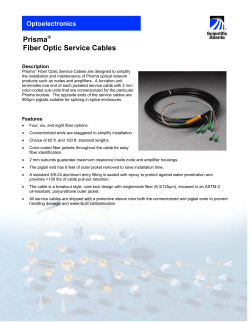 Prisma Fiber Optic Service Cables(英文)