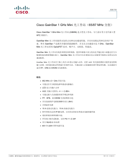 GainStar 1 GHz Mini 光工作站（65/87 MHz 分割）