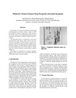 Distinctive Texture Features from Perspective-Invariant Keypoints