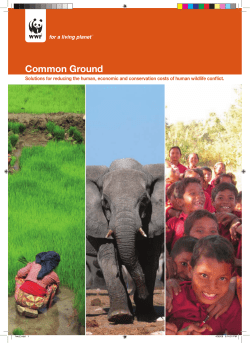 Download PDF