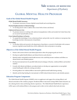Download the Global Mental Health Program goals, objectives and components statement
