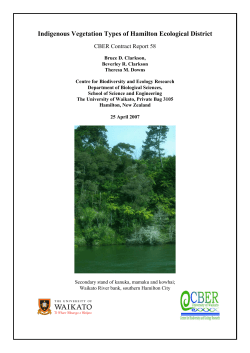 Download PDF (185KB)