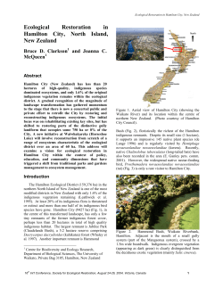 Download PDF (558KB)