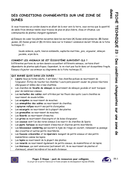 FICHE TECHNIQUE 23