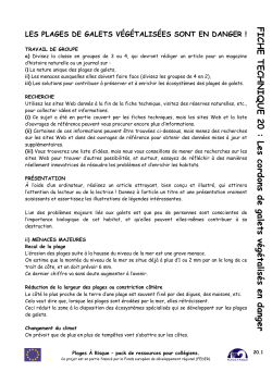 FICHE TECHNIQUE 20