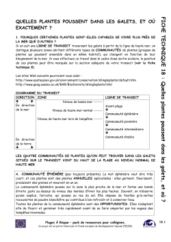 FICHE TECHNIQUE 18
