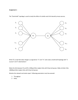 NS Projects.doc