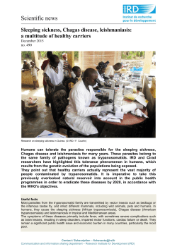 Scientific news n&deg;490 ( PDF , 428 Ko)