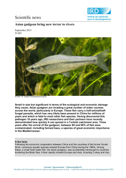 Scientific news n&deg;486 ( PDF , 269 Ko)