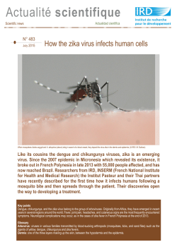 Scientific news n°483 ( PDF , 1940 Ko)