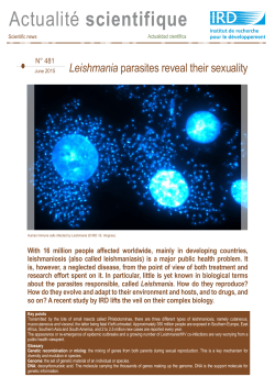 Scientific news n&deg;481 ( PDF , 1769 Ko)