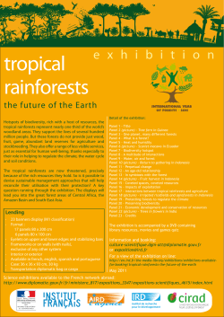 IRD - Specification scheet - Exhibition Tropical rainforests - English ( PDF , 266 Ko)
