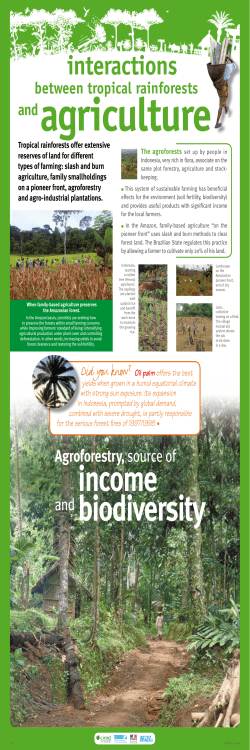 IRD - FTH - En - Panel 17 - Interactions between tropical rainforests and agriculture ( PDF , 472 Ko)