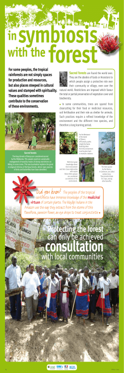 IRD - FTH - En - Panel 13 - In symbiosis with the forest ( PDF , 512 Ko)