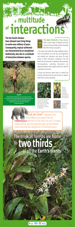 IRD - FTH - En - Panel 8 - A multitude of interactions ( PDF , 457 Ko)