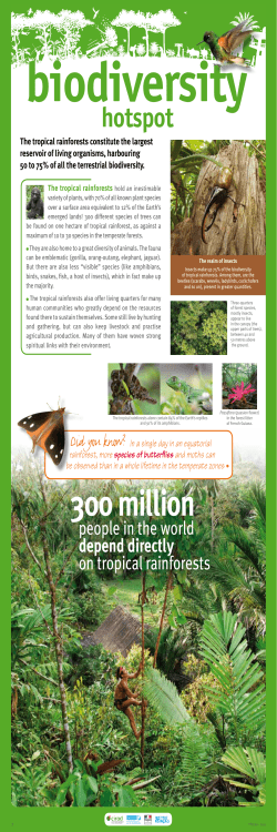 IRD - FTH - En - Panel 7 - Biodiversity hotspot ( PDF , 507 Ko)
