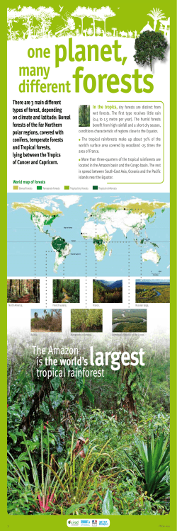 IRD - FTH - En - Panel 3 - One planet, many different forests ( PDF , 520 Ko)