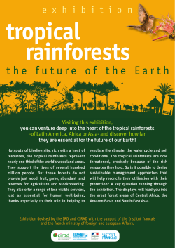 Flyer - FTH - English ( PDF , 372 Ko)