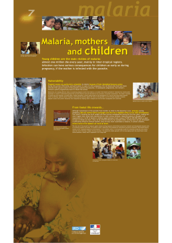 Panel 7 - Malaria, mothers and children ( PDF , 888 Ko)