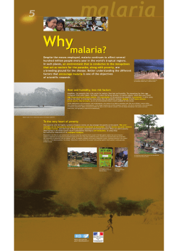 Panel 5 - Why malaria ? ( PDF , 1381 Ko)
