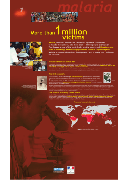 Panel 1 - More than 1million victims ( PDF , 760 Ko)