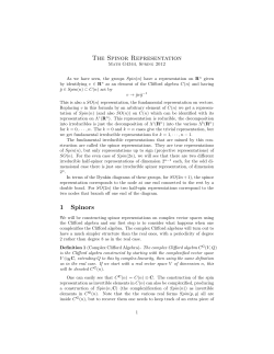The Spinor Representation
