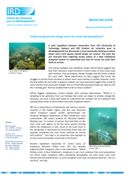 Could mangroves be refuge zones for coral reef populations? ( PDF , 164 Ko)
