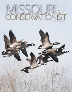 Download the current issue