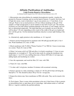 Antibody Purification