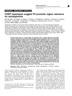 Palmatier et al. (2004)